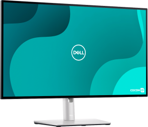 Monitory Dell