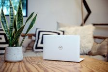 article thumbnail