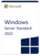 Microsoft Windows Server 2022 Standard- Microsoft Windows Server 2022 Standard